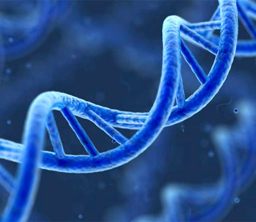 medlab_serv05